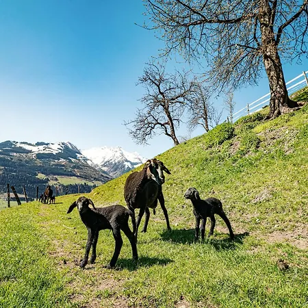In Near Slopes
